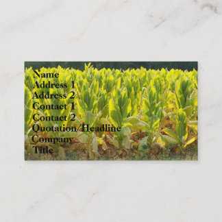 Carte De Visite Tabac