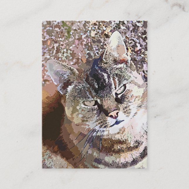 CARTE DE VISITE TABLEAU CAT (Devant)