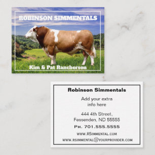 Carte De Visite Taureau Simmental dans le pâturage   