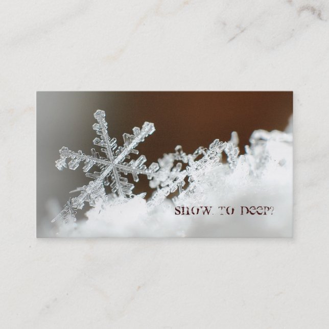 Carte De Visite Tempête de neige de 2009 (Devant)