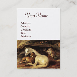 Carte De Visite TENTE ARABE AVEC CHEVAUX, AUTRES ANIMAUX, blanc