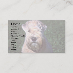 Carte De Visite Terrier blond comme les blés Doux-enduit