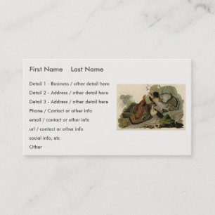 Carte De Visite Tétras rouffés - Audubon's Birds of America Bu