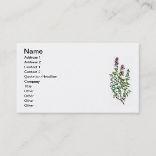 Carte De Visite thyme de breckland