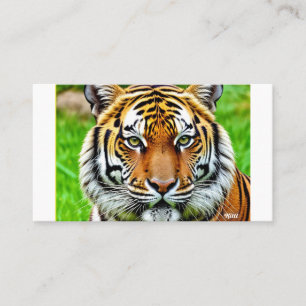 Carte De Visite Tigre