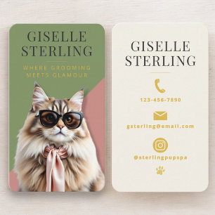 Carte De Visite Toiletteur pour chats