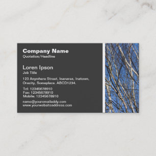 Carte De Visite Tonalité Texture - Branches de bouleau d'argent 02