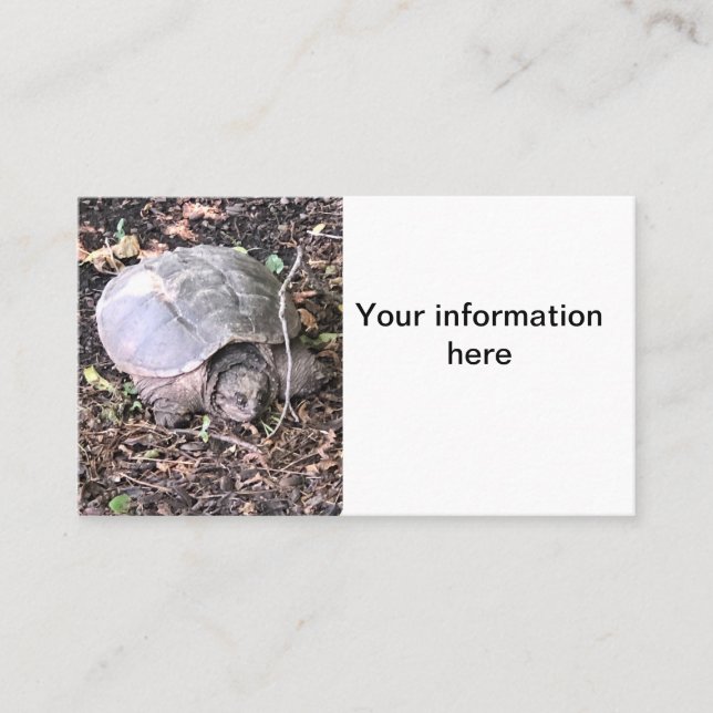 Carte De Visite Tortue (Devant)