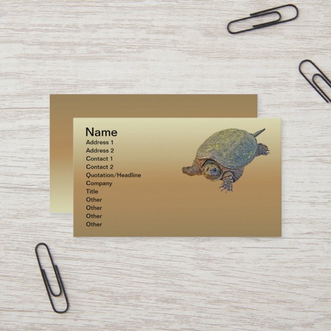 Carte De Visite Tortue commune - Chelydra serpentina (Devant/Arrière en situation)