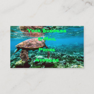 Carte De Visite Tortue de mer tropicale sous-marine
