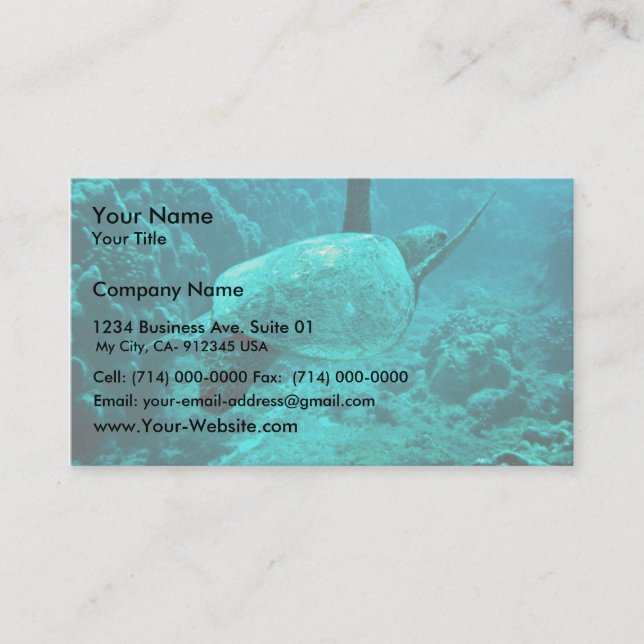Carte De Visite Tortue de mer verte (Devant)