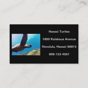 Carte De Visite Tortue Hawaii
