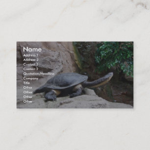 Carte De Visite Tortue noire avec le long cou sur les roches