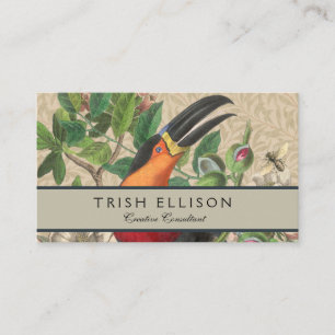 Carte De Visite Toucan Jungle Tropical Bird Belle antique