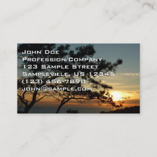Carte De Visite Tourrey Pine Sunset I California Paysage