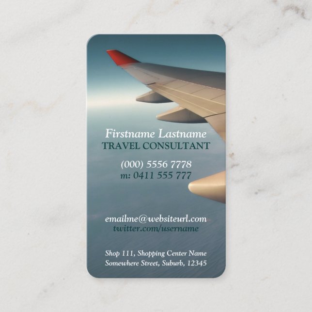 Carte De Visite Travel Consultant Plane Wing Business Card (Devant)