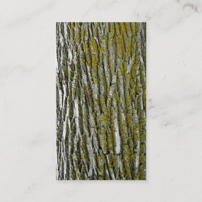 Carte De Visite Trimmers d'arbre aménageant le retrait en parc de (Devant)