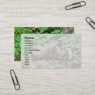 Carte De Visite Trois Bébés