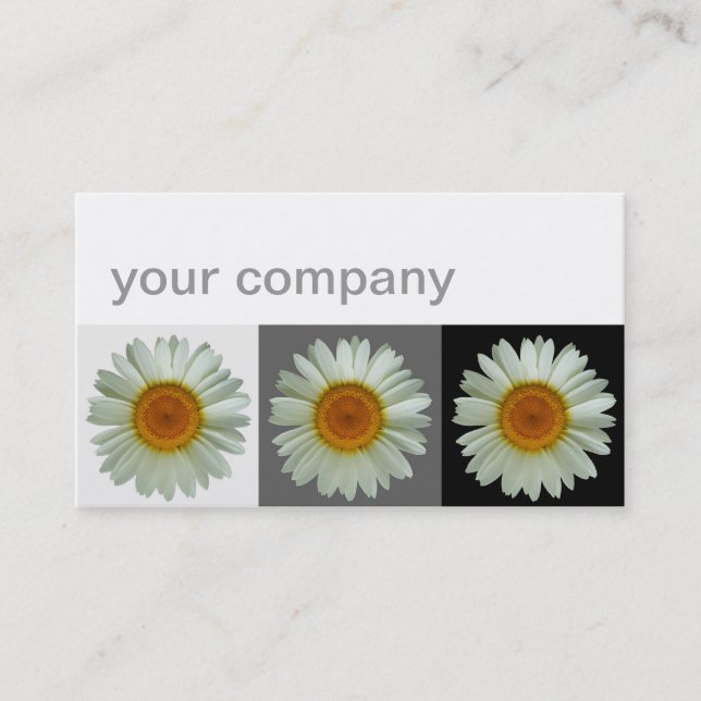 Carte De Visite Trois floraux modernes de marguerites blanches (Devant)