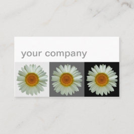 Carte De Visite Trois floraux modernes de marguerites blanches