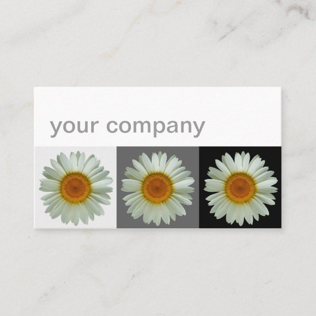 Carte De Visite Trois floraux modernes de marguerites blanches (Devant)