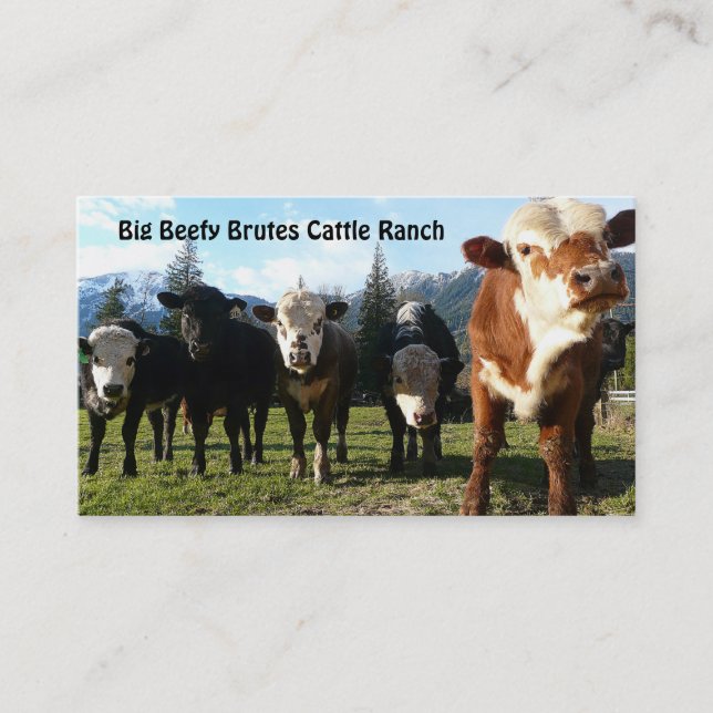 Carte De Visite Troupeau de bovins à la ferme de pays (Devant)