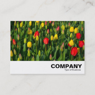 Carte De Visite Tulipes colorées