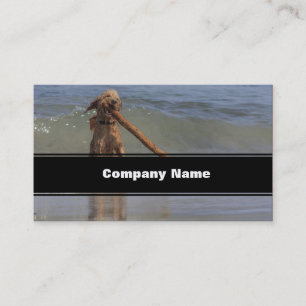 Carte De Visite Un jour pour chien après-midi