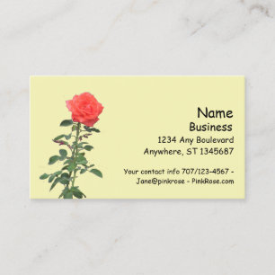 Carte de visite - Une rose rose unique sur tige