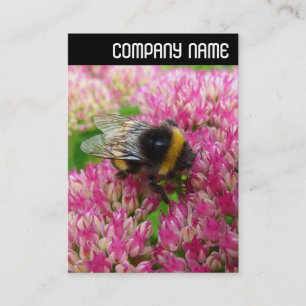 Carte De Visite V En-tête - Bumble Bee sur Sedum