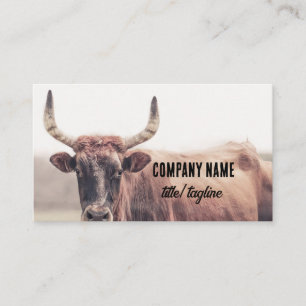 Carte De Visite vache avec cornes pays animal photo
