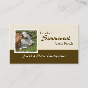 Carte De Visite Vache Brown et blanche à simmenthal avec la