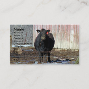 Carte De Visite Vache noire Angus en hiver