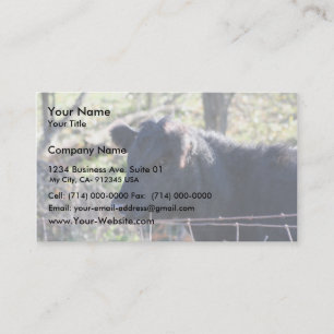 Carte De Visite Vache noire regardant hors de la barrière