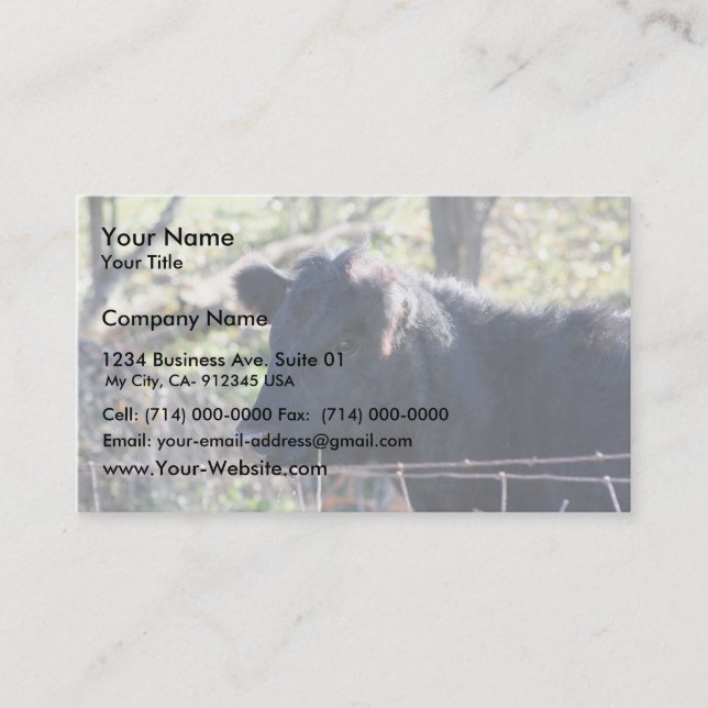Carte De Visite Vache noire regardant hors de la barrière (Devant)
