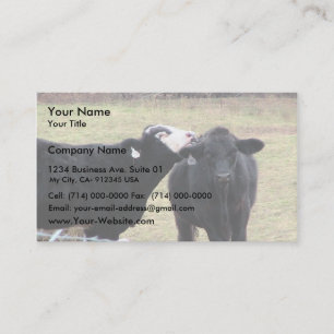 Carte De Visite Vaches à mère léchant son nourrisson