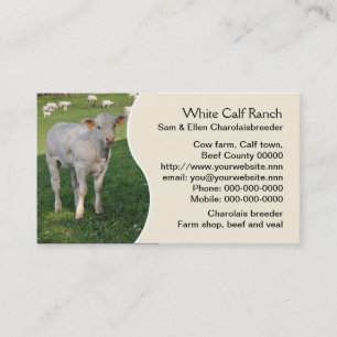 Carte De Visite Veau du charolais avec le panneau crème