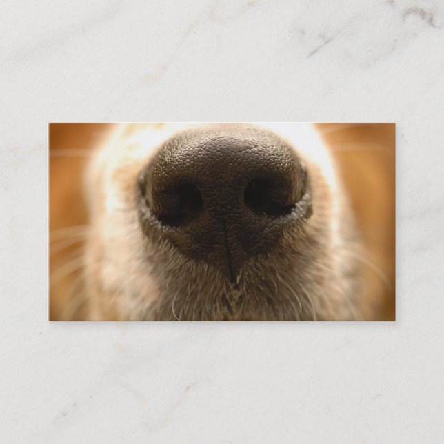 carte de visite vétérinaire de nez de chien (Devant)