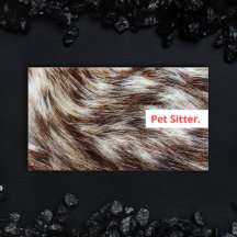 Vétérinaire moderne Sitter Chien Walker Grooming