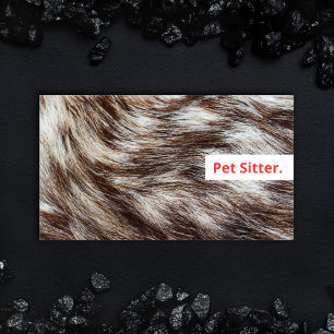 Carte De Visite Vétérinaire moderne Sitter Chien Walker Grooming