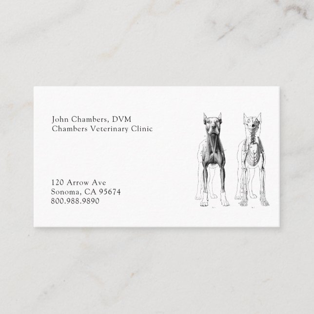 Carte De Visite Vétérinaire professionnel simple Médicale (Devant)