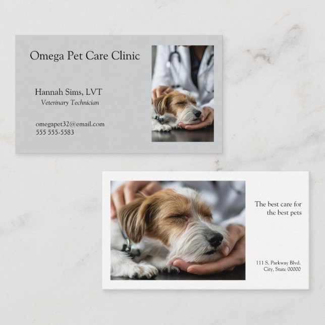 Carte De Visite Vétérinaire traite un chien malade (Devant / Derrière)