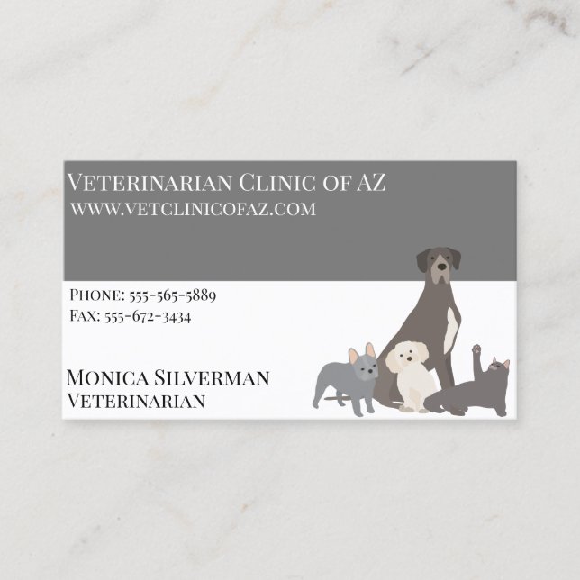 Carte De Visite Vétérinaire Vétérinaire Black Grey Block Animaux d (Devant)