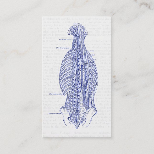 Carte De Visite Vieille illustration d'anatomie le dos (Devant)