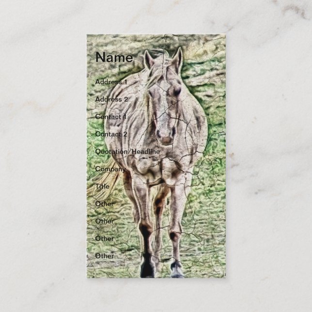 Carte De Visite Vieux Cheval Cracké Peinture (Devant)