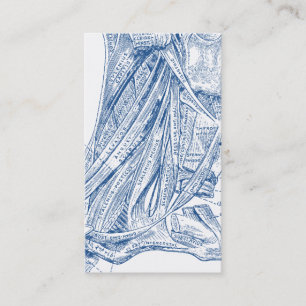 Carte De Visite Vieux muscles Médicale de dessin du bleu de cou