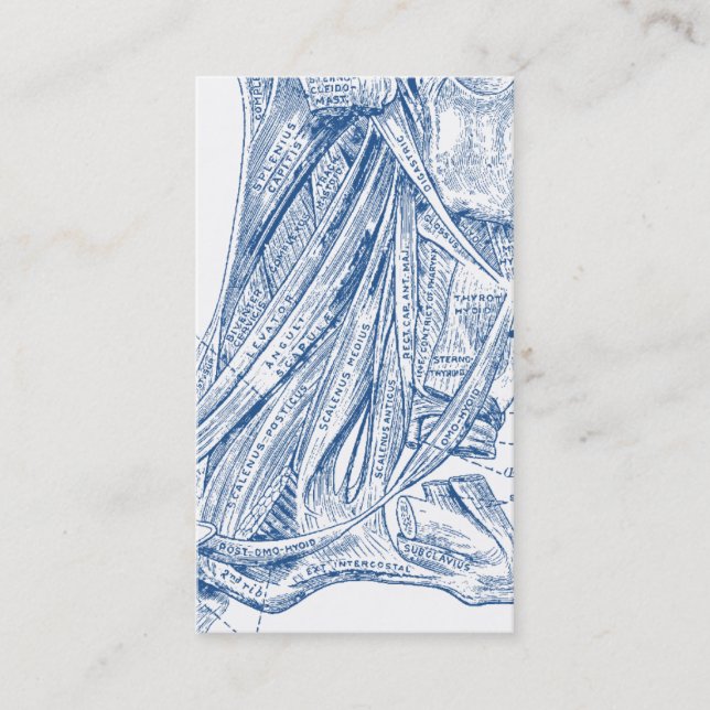 Carte De Visite Vieux muscles Médicale de dessin du bleu de cou (Devant)