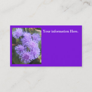 Carte De Visite Visomesse