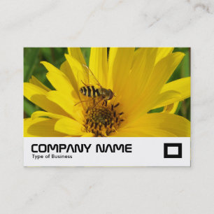 Carte De Visite Vol stationnaire sur un chrysanthème jaune