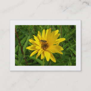 Carte De Visite Vol stationnaire sur un chrysanthème jaune (fronti